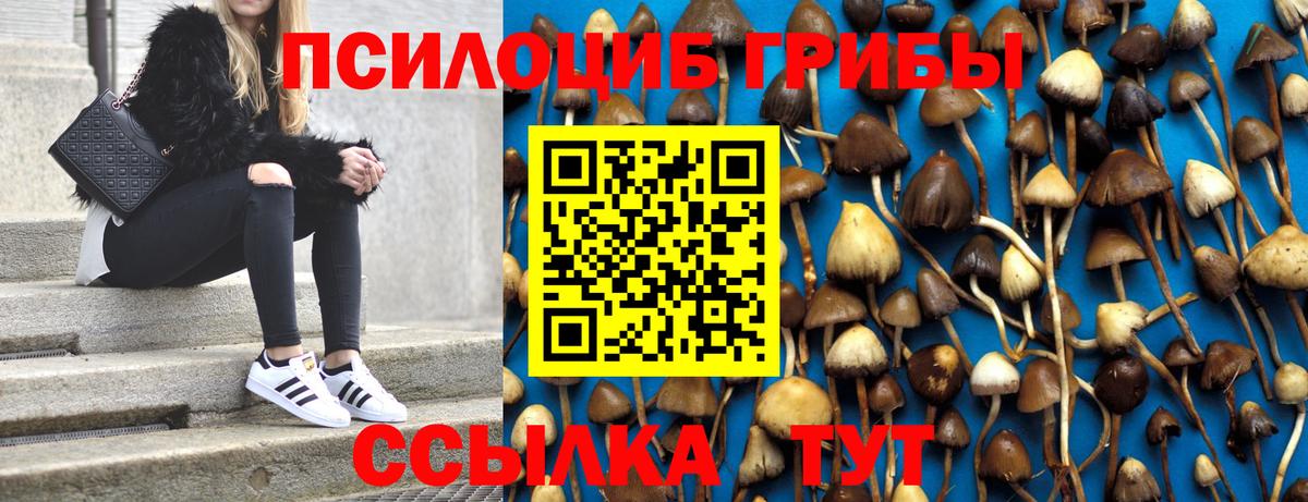 Псилоцибиновые грибы прущие грибы Будённовск